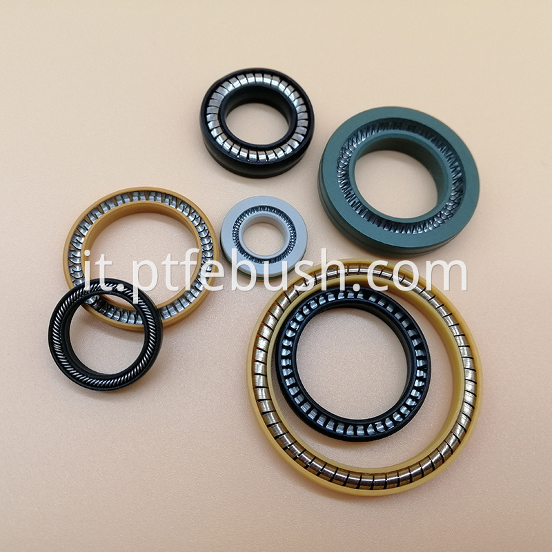 Spring Energized Seal 14